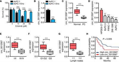 Overexpression of Circular RNA circ_0013587 Reverses Erlotinib Resistance in <mark class="highlighted">Pancreatic Cancer Cells</mark> Through Regulating the miR-1227/E-Cadherin Pathway
